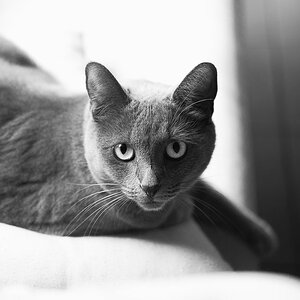 DSCF1141.jpg