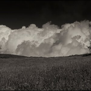 DSCF8639-1.jpg