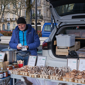 Champignons (1).jpg