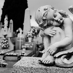 DSCF1558.jpg