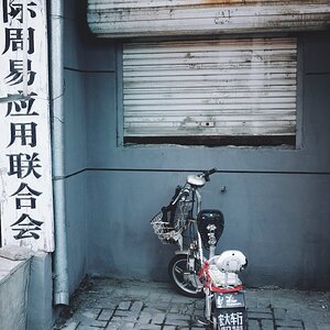 250511 de paseos por Changchun - China 082_1.jpg