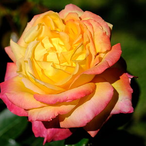 DSCF4806.JPG