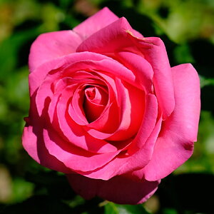 DSCF4758.JPG