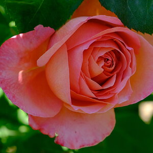DSCF4680.JPG