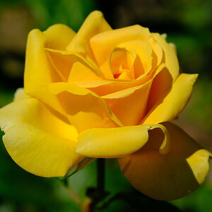 DSCF4617.JPG