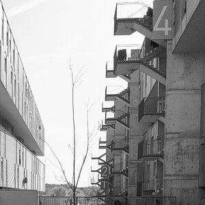 DSCF0284c.jpg