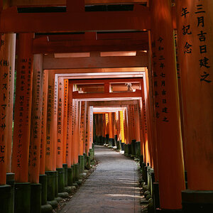 DSCF8454.jpg