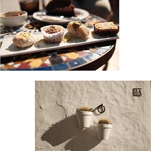 InCollage_20250520_214438721.jpg