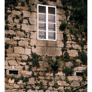 fotografo-ventanas-pared-piedra-vegetacion.jpg