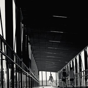 DSCF1559.jpg