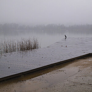 035-2panow.jpg