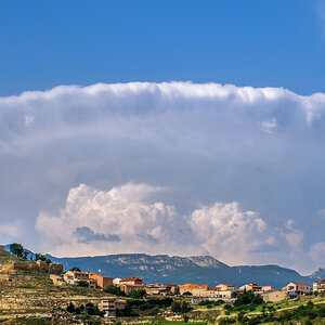 DSCF4393.jpg
