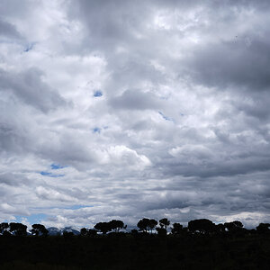 250423 SEGOVIA (23).jpg