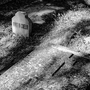 DSCF1579r.jpg