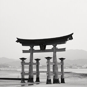 DSCF9041.jpg