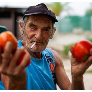 tony tomates m9 50 1.2.jpg