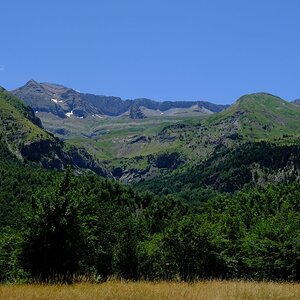 IMG_20250710_120641_169.jpg