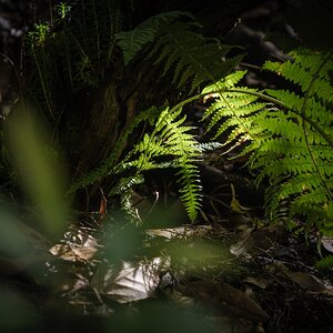TTArtisan100mmf2_8-4.jpg