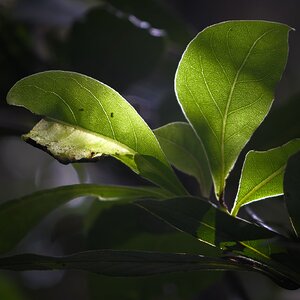 TTArtisan100mmf2_8-3.jpg