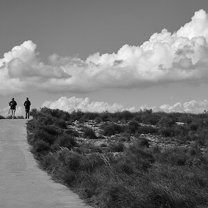 Paseo matinal (1).jpg
