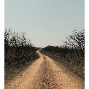IMG_0971.jpeg