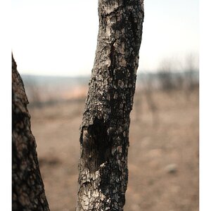 IMG_0967.jpeg