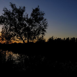 DSCF8962.JPG