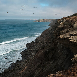 XE051445-sharpened.jpg
