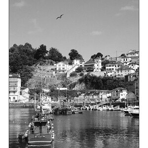 IMG_2861.jpeg
