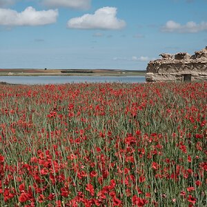 palomares 1.JPG