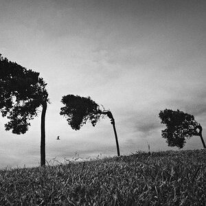 XE051952(1)-sharpened.jpg