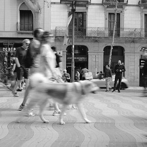 DSCF5784.JPG