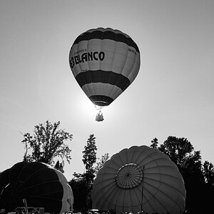 DSCF1784.jpg