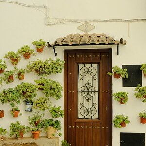 DSCF3215.JPG