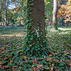 DSCF1890.jpg