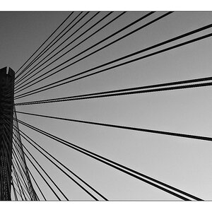 El puente de las cuerdas.jpeg