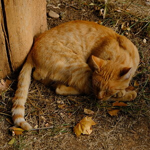 DSCF1030.JPG