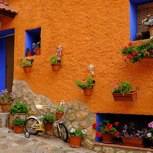 DSCF0603.JPG