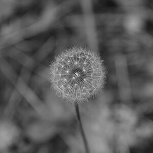 DSCF0139.JPG