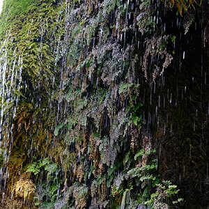 DSCF0309.JPG