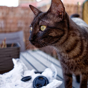 DSCF3935_DxO.jpg