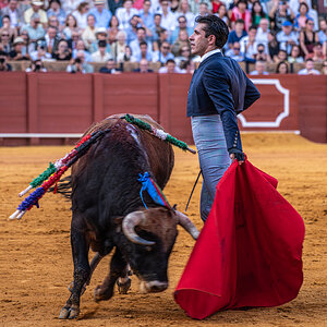 20251013@181919_630FESTIVAL TOROS EN LA MAESTRANZA  -Editarred4000px.jpg