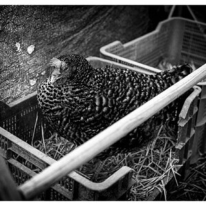 L1003175-Editar.jpg