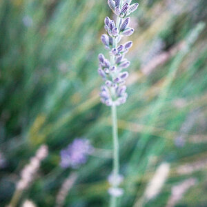 GX000144.jpg
