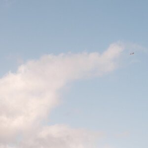 Olympus 24_28 202509-7.jpg