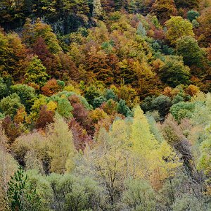 DSCF6080.JPG
