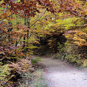 DSCF6086.JPG
