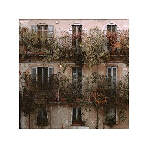 fotografo-milan-fachada-balcon-plantas-vegetacion-.jpg