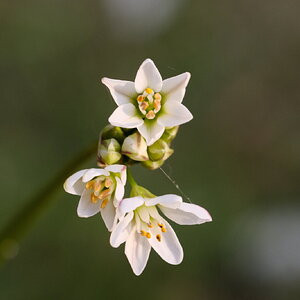DSCF3798.JPG