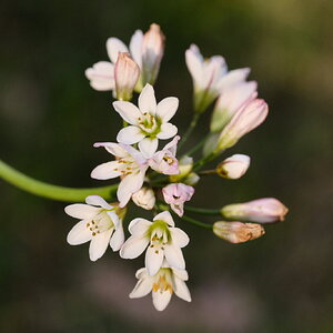 DSCF3815.JPG